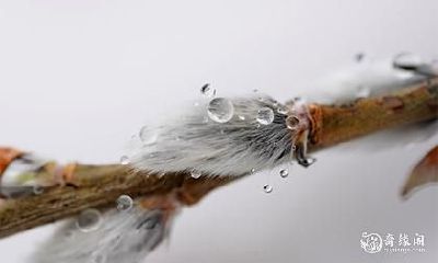 2023年农历正月中有哪些凶日和破日需要进行查询?