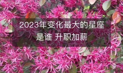 、财运亨通,2023年哪个星座将经历最大的变革?
