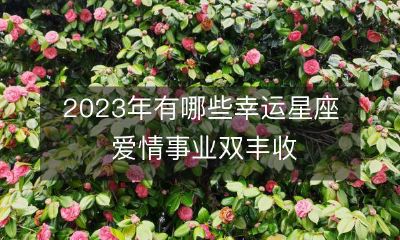 展望2023年,哪些星座将迎来幸运之星,爱情事业双丰收?