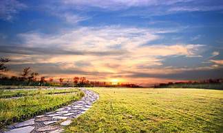 哪些四个星座可以在两个月时间内成功提升事业水平?