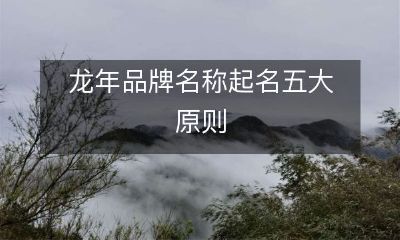 在龙年创建品牌名称时的五大重要准则,你需要了解!