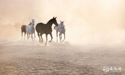 在Feng Shui方面,90年属马的人在买房时需要考虑到哪些因素?住在哪一层楼最适合?