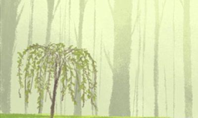 什么节日适合以苹果为礼物?送苹果背后蕴含着怎样的情感寓意?