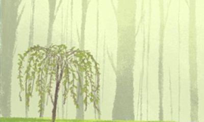 日的传统习俗?莲花灯是在哪个具有特殊意义的节日中挂起的?