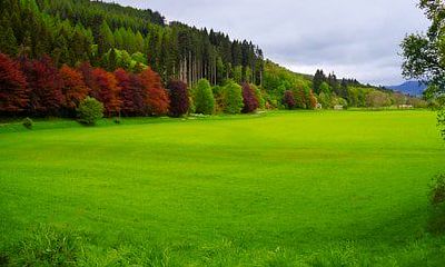 什么星座的人是最忠诚的朋友?在十二星座中,哪些星座与你成为朋友将永远不会背叛你?