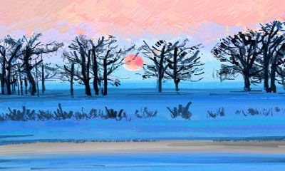 从个人信息到命运预测,全方位解析刘亦菲的生辰八字与星盘格局