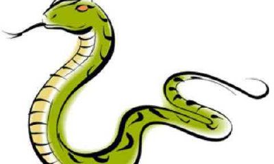 2021年属蛇人的11月运势及运程详细解读:探究运势波动趋势、聚焦避坑技巧和幸运指引