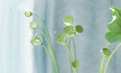 在2015年,重阳节将在什么日期庆祝?