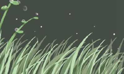 白玫瑰的花语及其象征意义:赠送白玫瑰所代表的涵义是什么?