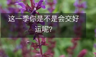 这一季是否会带给你意想不到的好运和幸福呢?