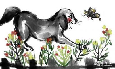 2023年属狗的准妈妈可以怀孕吗?如果有恶心呕吐症状,能吃哪些食物缓解?