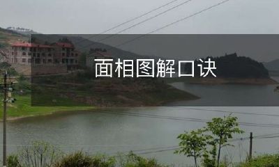 通过图解学习面相预测的口诀:解密人生奥秘!