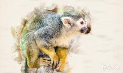 2023年是属猴人怀孕的好年份吗?孕妇在哪些场所需要避免?