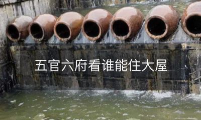 比拼五官和六府,谁能有资格入住这座豪华大屋?