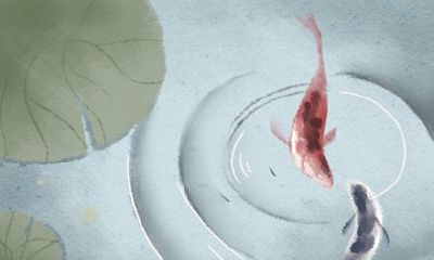 展现,如何应对枯燥无味的上课氛围:十二星座大揭秘