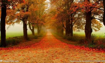 寻找男性中的丹凤眼珍宝:探秘这种眼型所拥有的独特魅力和吸引力!