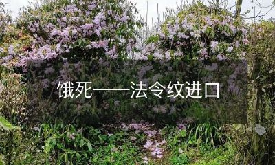 法律限制下的进口美容法令纹术致饥饿身亡的悲剧事件