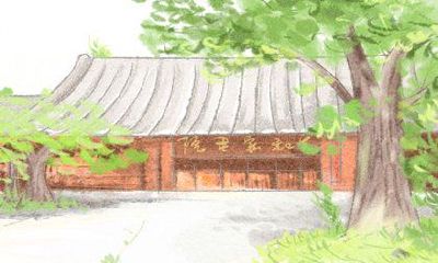 探究登高庆重阳节之意义,表彰尊老重孝思想传承与美好生活哲学体现