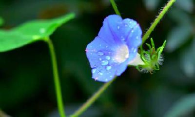 去和谐的气氛下约会星座,你将学到什么?