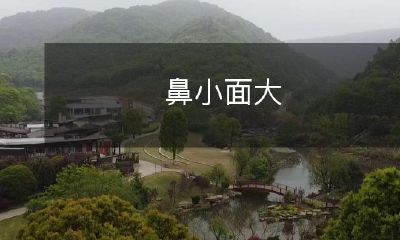 鼻子短小而脸部轮廓较为宽大的面容特征