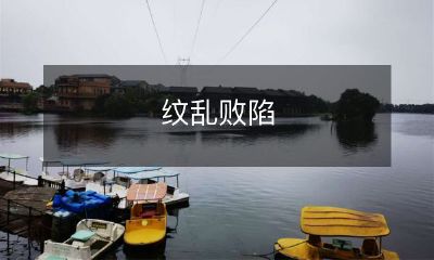 探究导致纹乱败陷的根本原因并提供解决方案的综合分析报告