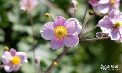 大年初二生病,是否有适宜的医疗方式?是否在过年期间就诊?