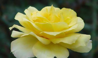 探究风象星座在2023年下半年是否能够拥有不同程度的贵人运,如何影响星座运势,以及不同星座在贵人运指数方面的具体表现