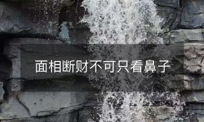 面相断财不可仅依据鼻子,还需综合多个特征进行判断