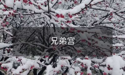 探秘充满兄弟情的历史建筑——兄弟宫