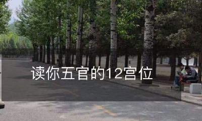 用相面学解释的:探索12个宫位如何反映你的性格、命运和人生道路