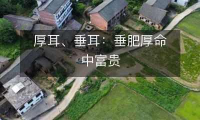 厚耳和垂耳:拥有垂肥厚命的财富之路