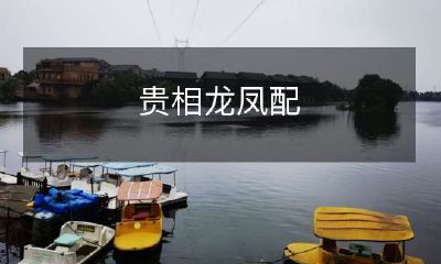 鉴赏贵相龙凤配瓷器:揭示其制作工艺和文化背景