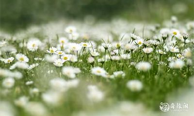 考虑到2023年4月29日和30日的情况,这两天是否适合安排相亲约会?