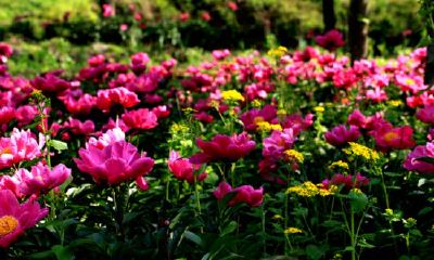 有哪些能够克制风象星座的土象星座?