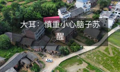 大耳警惕提醒:要小心谨慎,尤其当脑子开始苏醒时!