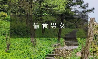 男女之间发生的偷食现象:关于在爱情关系中出轨的男人和女人的行为统计分析