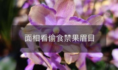 神情曝露偷食禁果的高危行为:通过面相来揭示眉目!