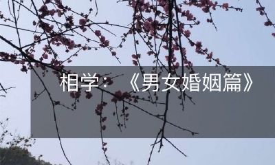 探究相学如何为男女婚姻指明方向——《男女婚姻篇》