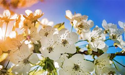 探讨年月时三柱中最后一个都是空亡所表现出的特殊性质,以及其中一些八字空亡的独特标志