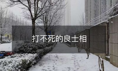 信:坚定不移地捍卫正义的不屈不挠之士