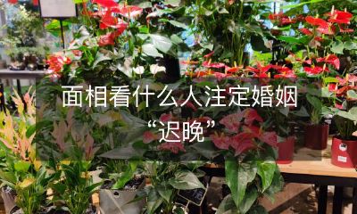 仔细观察面相,或可揭示婚姻状况或注定“迟晚”结婚的个人特征