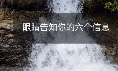 通过视觉说话:六种信息可以从眼睛中获取