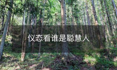 通过观察仪态,分辨聪慧人的能力