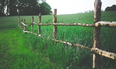 经验分享:揭秘哪种女人会带旺自家“夫”运,眼角上翘促进家庭财运上涨
