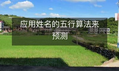 个人未来的命运和运势