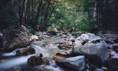 探究属龙风水招财的有效物品及限制条件:探寻龙摆件的禁忌