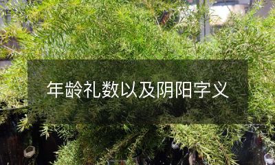 阴阳字义探究:探讨年龄礼数背后的文化底蕴