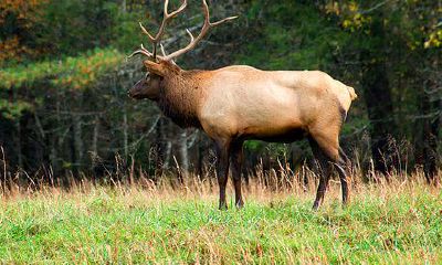 挖掘星座奥秘:有哪些星座在手机新品发布后倾心换机?