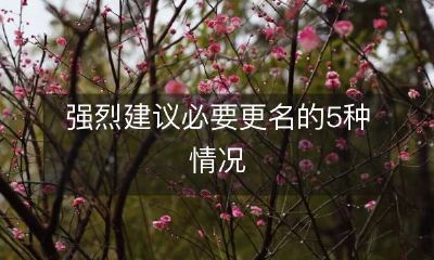 五种情况强烈建议进行必要更名,以确保名称的准确和合适性