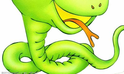 如何利用风水学提升2023年属蛇人爱情运:探讨最佳桃花方位及应对策略